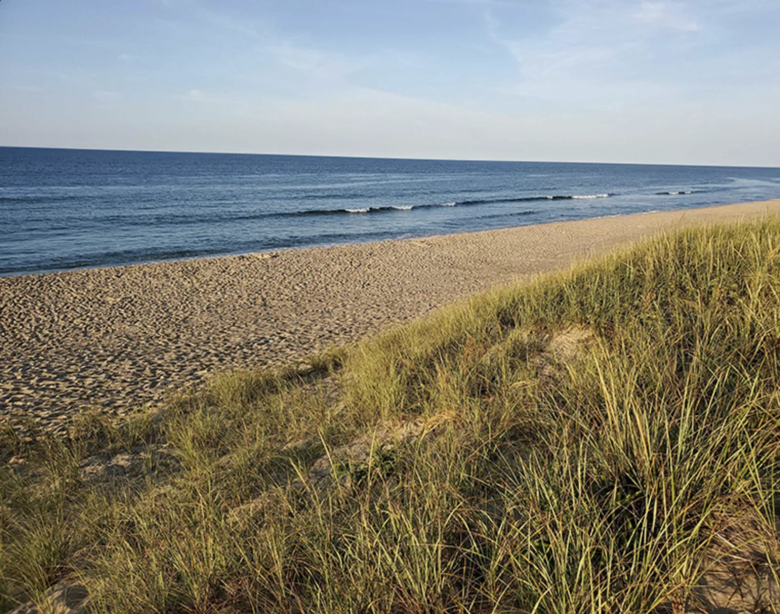 Nobadeer Beach, Nantucket, with dune grass and the Atlantic beyond