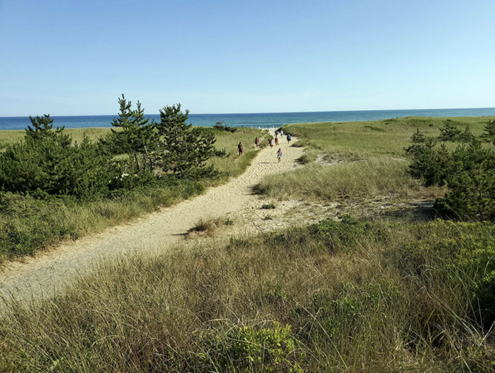 Sandy path through the dunes leading to Surfside Beach, Nantucket